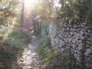 chemin-provence