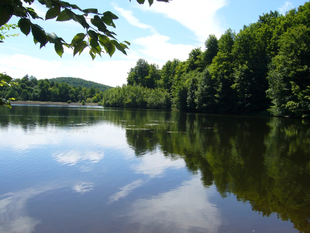 Notre-Dame de Vie Saint Paul paysage