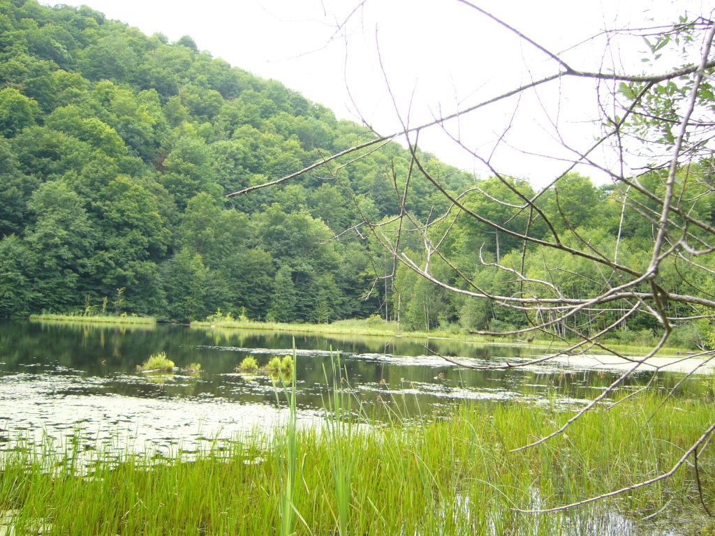 Notre-Dame de Vie - Saint Paul paysage