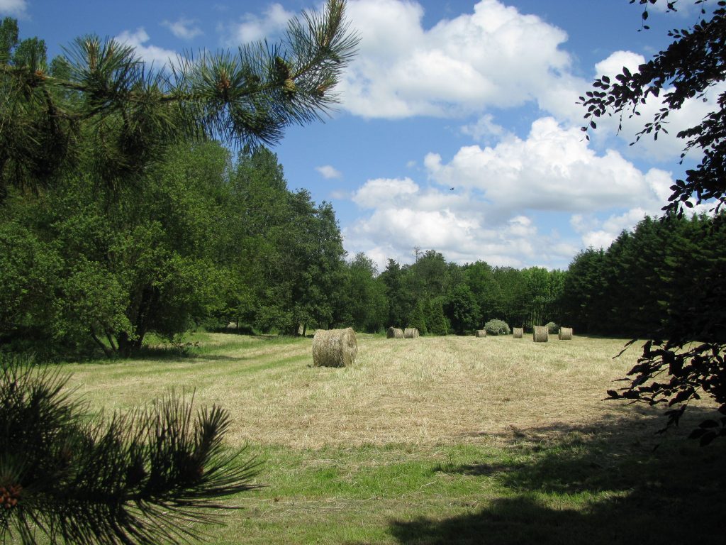 Abbaye - La pature avec meules de foin