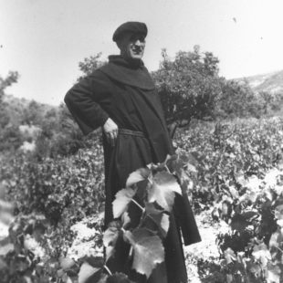 1949, dans les vignes du Comtat Venaissin / In the vineyard near Venasque / 1949, en los campos de viñas de Provenza (Francia)